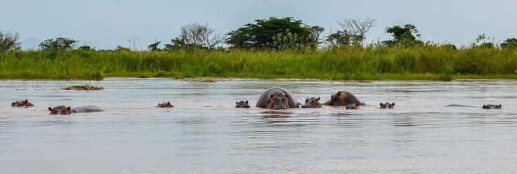 Fishing experience in Lake Tanganyika and Visit Rusizi National Park
