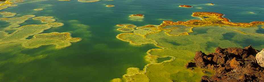 Mid-range camping Danakil Depression (Highlight) – All Meals Included