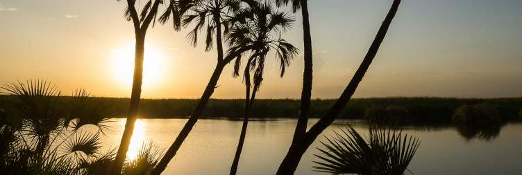 Awash National Park Drive to Dire dawa