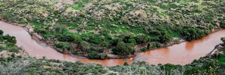 Depart Addis Ababa and Visit Awash National Park