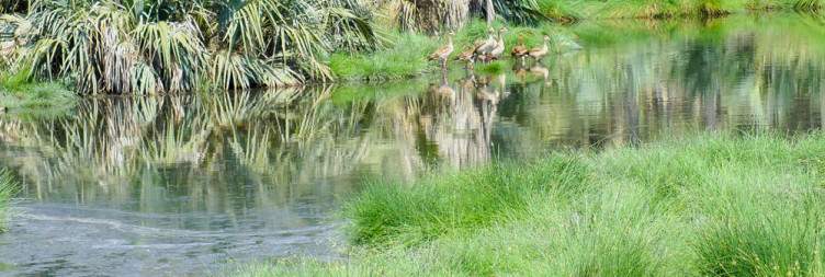 Full-Day Exploration – Game Drives & Gorge Walk