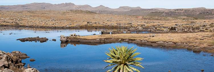 Drive from Addis to Goba