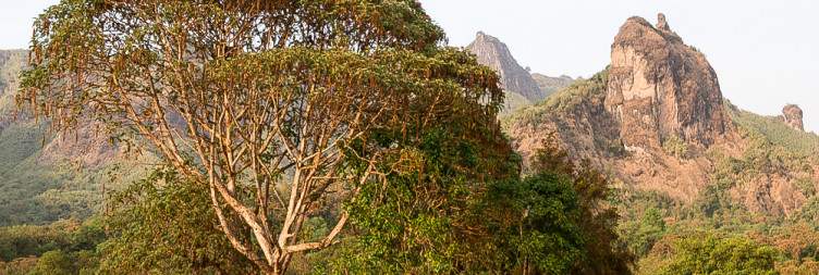 Awash – Bale Mountains National Park