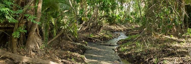 Full-Day Wildlife Activities in Chebera-Churchura National Park