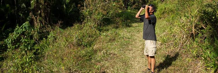 Full-Day Safari in Chebera Churchura