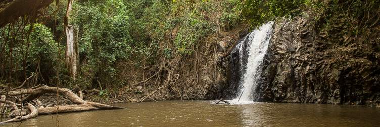 Scenic Trek & Departure