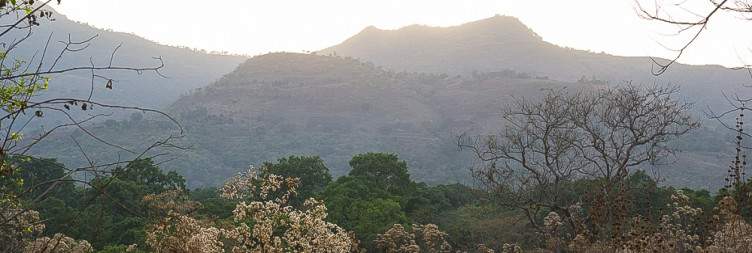 Jimma to Chebera Churchura National Park