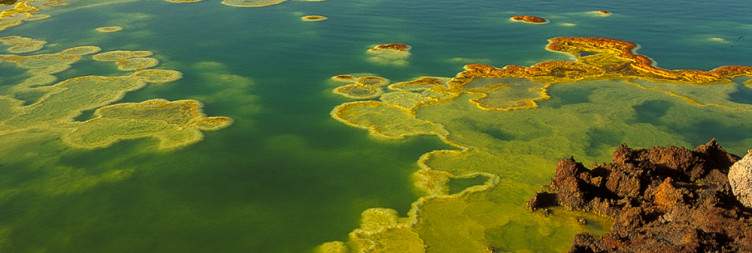 Fly to Semera and Drive to Dallol