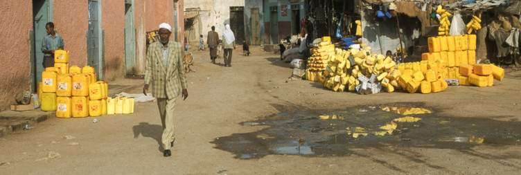 Harar City Tour