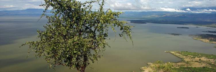 Lake Chamo & Forty Springs