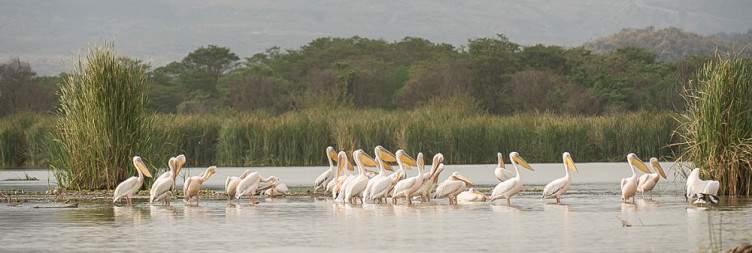 Wolayta Sodo to Dorze Village and Arba Minch