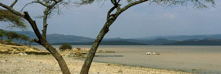 Lake Ziway – Lake Langano – Abijatta-Shalla National Park