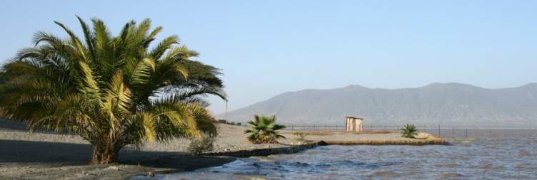 Lake Langano – Wondo Genet Forest
