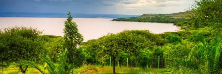 Bale Mountains – Lake Langano (250 km)