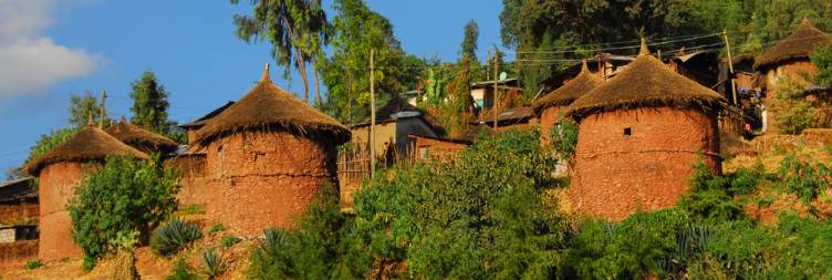 Lalibela Cultural Experience & Village Visit