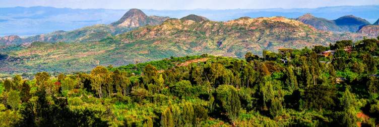 Safari to Mago National Park and Visit to Mursi People