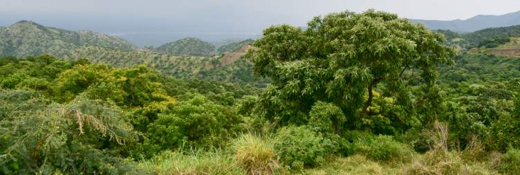 Arrival in Jinka – Journey Through Mago National Park to Local Villages