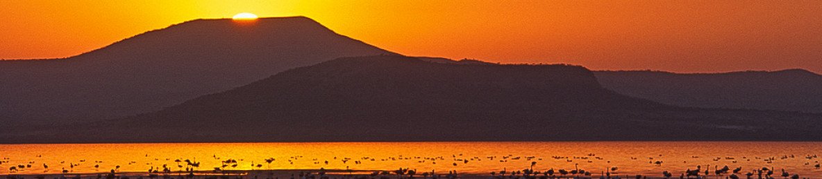 4-Day Abijatta-Shalla Lakes National Park Adventure