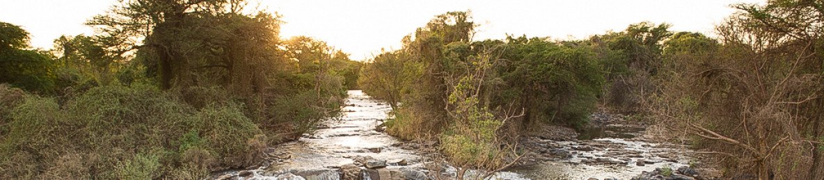 2-Day Awash National Park & Aledeghi Wildlife Reserve