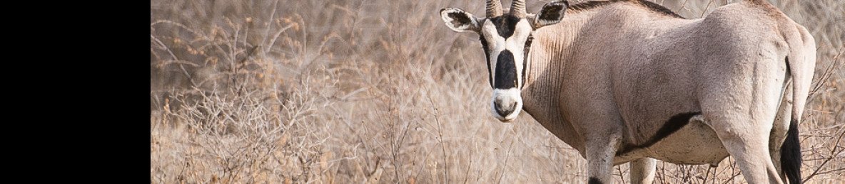9-Day From Volcanoes to Highlands Ethiopia Explorer Tour