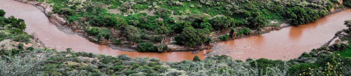 3-Day Awash Wildlife & Hot Springs Safari