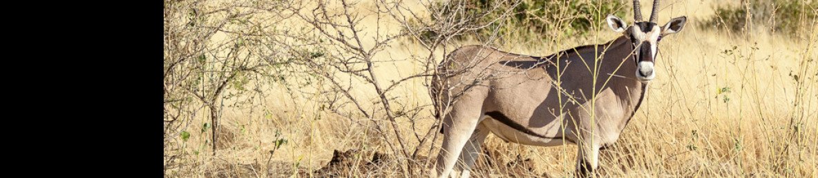 5-Day Awash National Park & Harar Tour