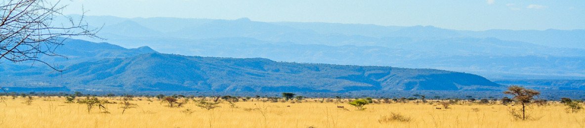 5-Day Harar & Awash Adventure Tour