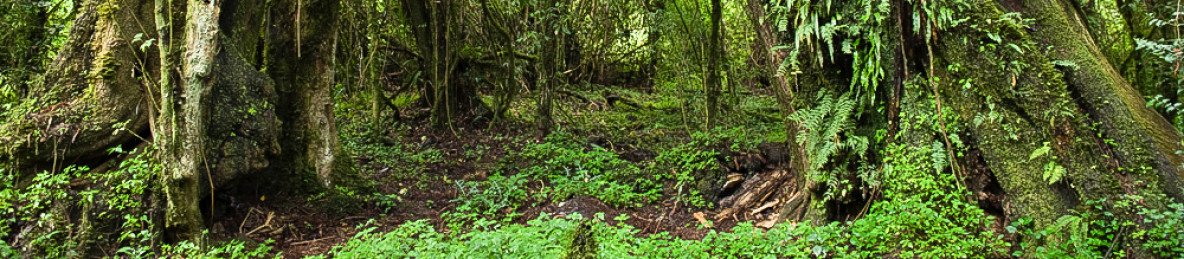 3-Day Wildlife Safari to Chebera Churchura National Park