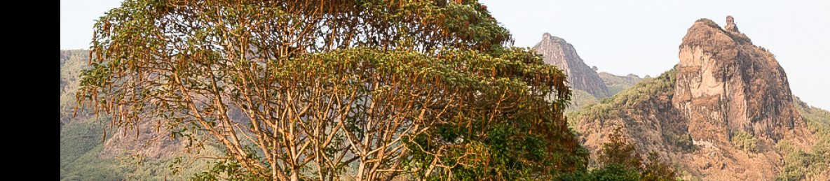 3-Day Bale Mountains Discovery Tour