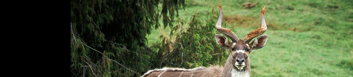 8-Day Bale Mountains & Omo Valley Adventure