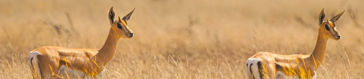 3-Day Exploring Maze National Park