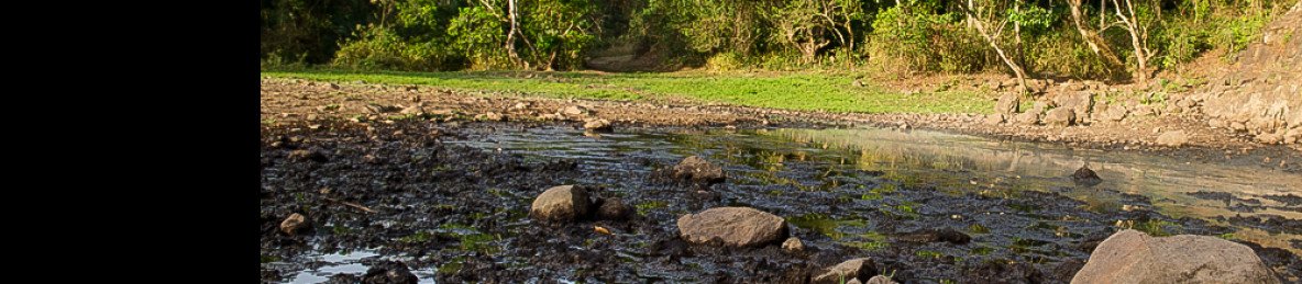 3-Day Chebera-Churchura National Park Safari Tour