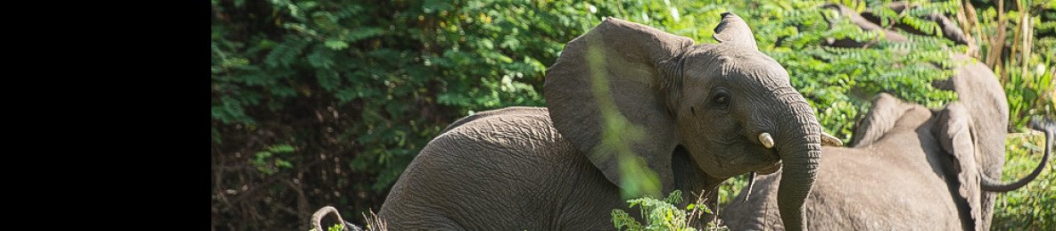 3-Day Chebera Churchura Wildlife Adventure of Life Time