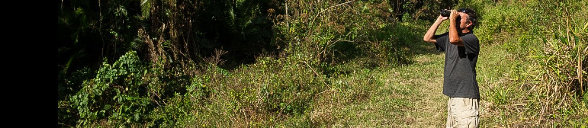 2-Day Chebera Churchura Wildlife Safari