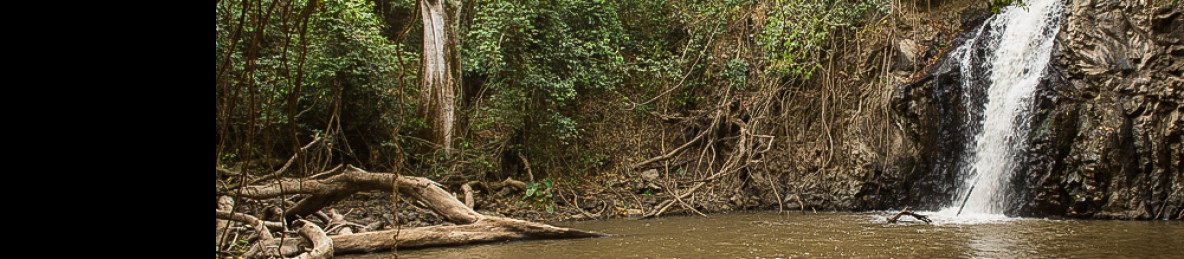4-Day Chebera Churchura National Park Adventure
