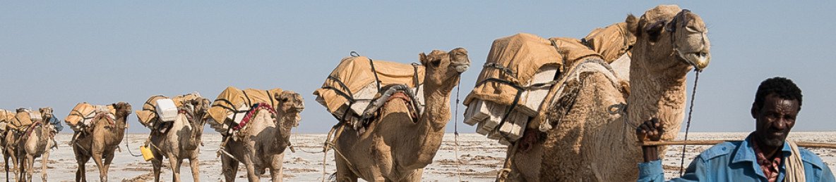 3-Day Explore Danakil Lava Lake & Desert Expedition