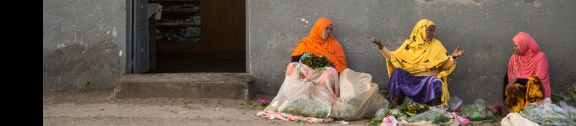 3-Day Harar, Diredwa and Bable Camel Market Tour