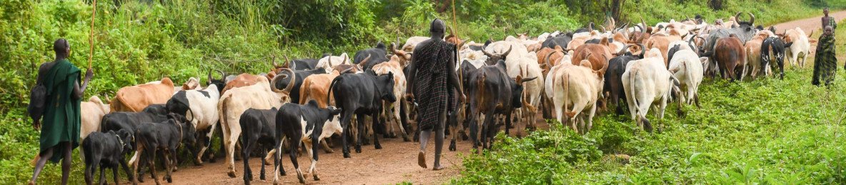 14-Day Omo Valley Tribes & Danakil Depression Adventure