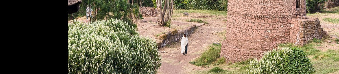 6-Day Addis, Lalibela and Danakil Depression Tour