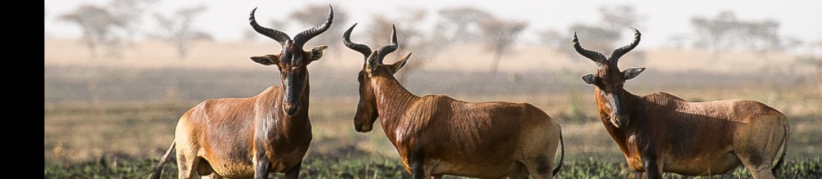 2-Day Sankelle Wildlife Sanctuary Tour