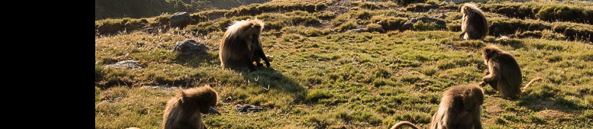 10-Day Simien Mountains Trekking Adventure
