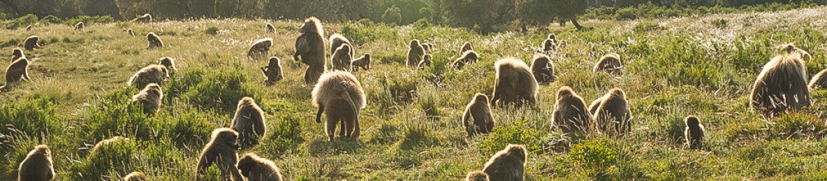13-Day Go Green and off the Beaten Track