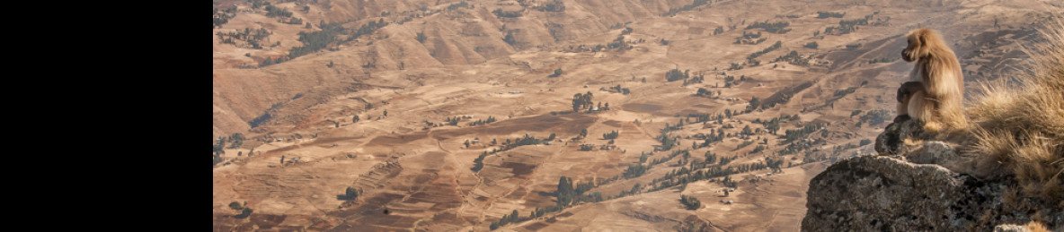 12-Day Hiking on the Simien Mountains 'Roof of Africa'