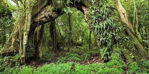 Chebera Elephant Paw Lodge Mid-range lodge less than 1hr drive from Chebera-Churchura NP – All Meals Included