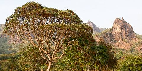 Budget camping Inside Bale Mountains NP – All Meals Included