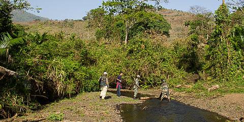 Chebera Elephant Paw Lodge Mid-range lodge less than 1hr drive from Chebera-Churchura NP – All Meals Included