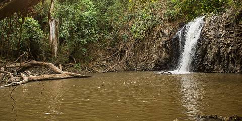 Budget camping Inside Chebera-Churchura NP – All Meals Included