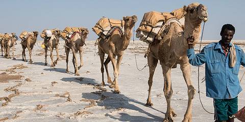 Budget camping Danakil Depression (Highlight) – All Meals Included