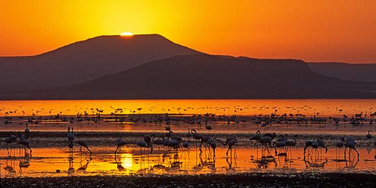 4-Day Abijatta-Shalla Lakes National Park Adventure