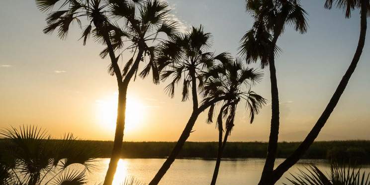 2-Day Awash & Ali Degh Wildlife Excursion